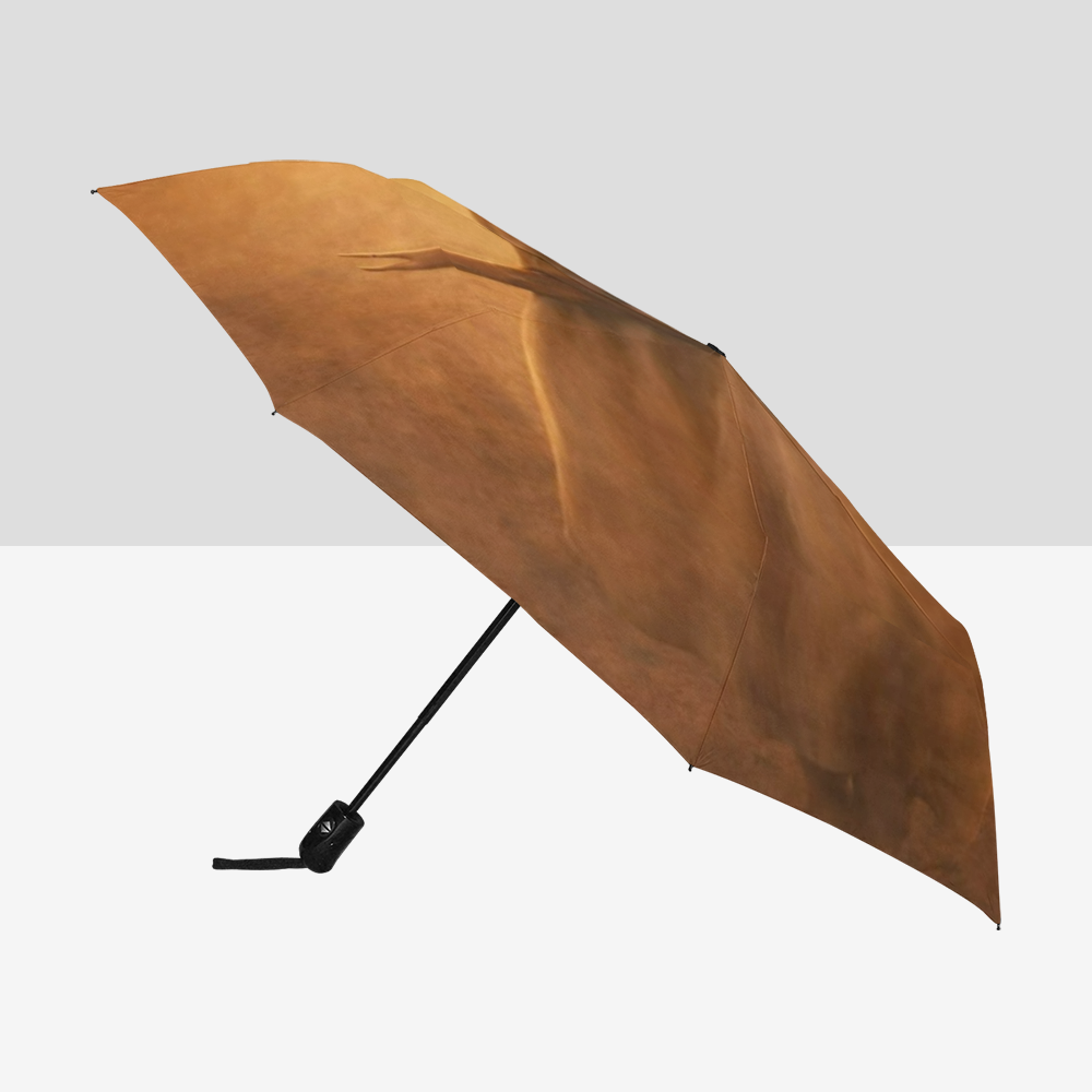 Islamic Umbrella - Ali | Auto-Foldable Umbrella