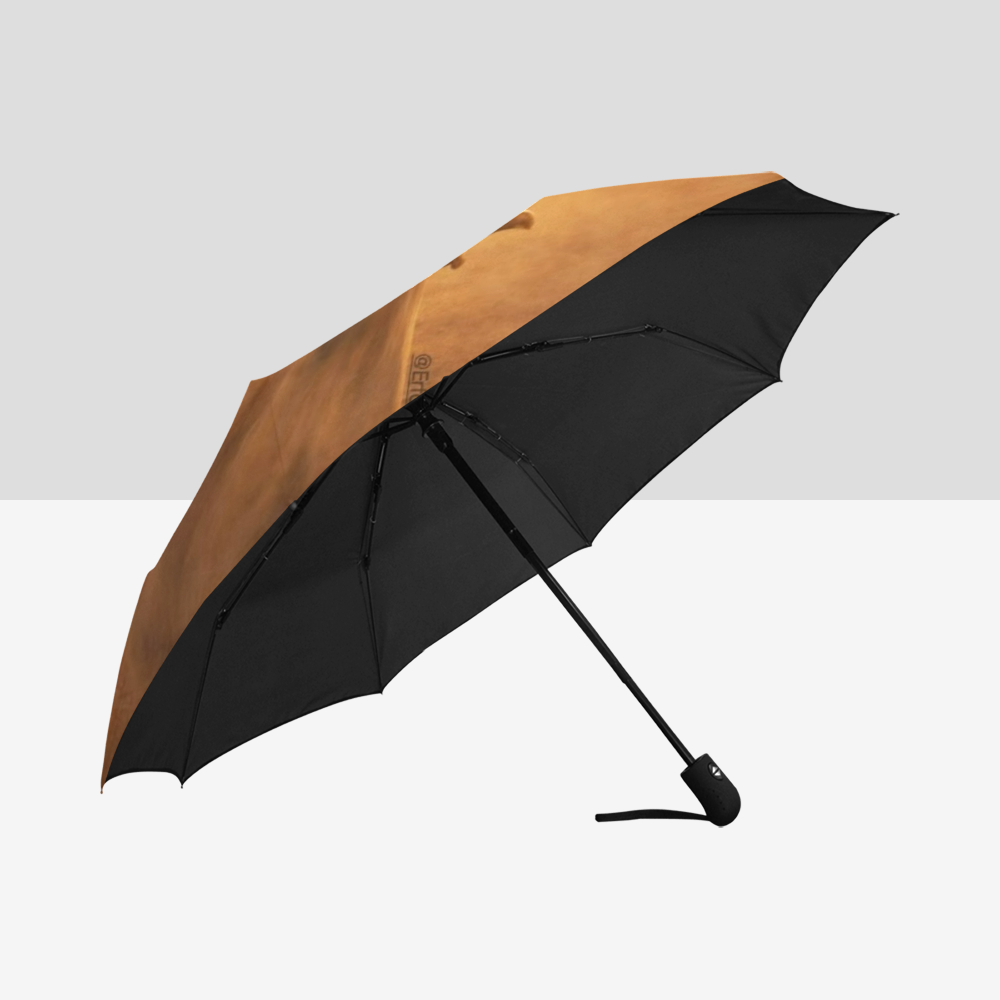 Islamic Umbrella - Ali | Auto-Foldable Umbrella